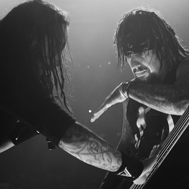 fieldy no gira sudamericana